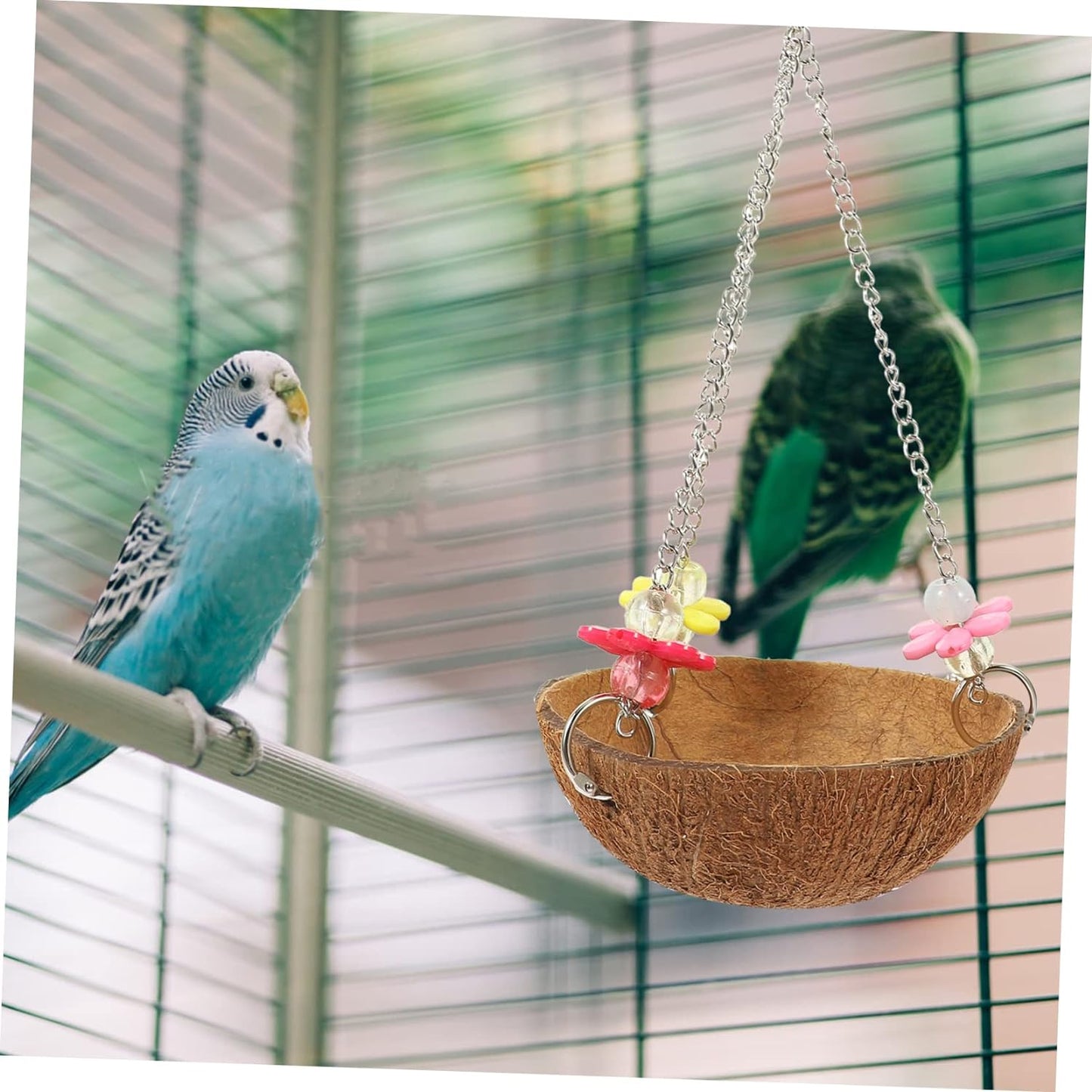 Coconut shells for birds 