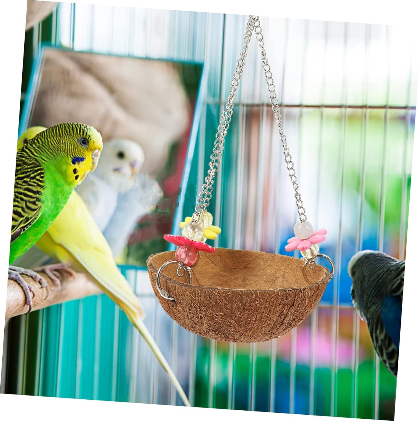 Coconut shells for birds 