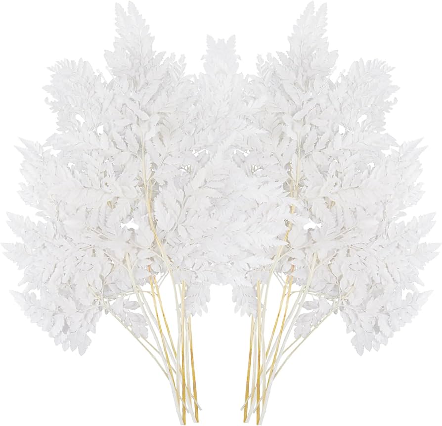 Tinideya 10 stems dried flowers white fern leaves